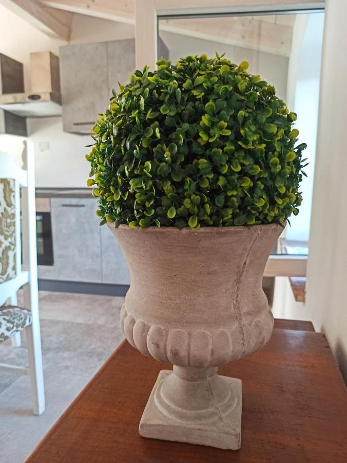 Monterotondo  Agriturismo Podere Le Palaie מראה חיצוני תמונה