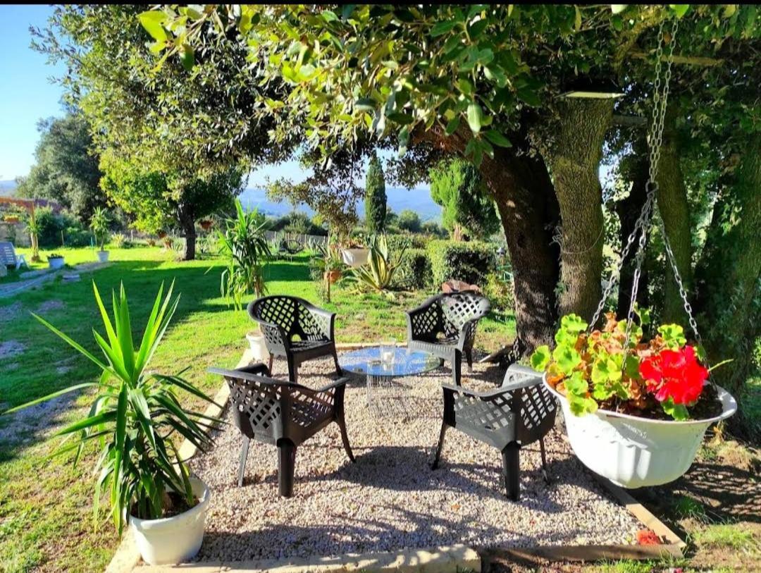 Monterotondo  Agriturismo Podere Le Palaie מראה חיצוני תמונה